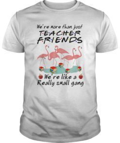 Flamingo We’re More Than Just Teacher Friends Shirt