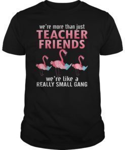 Funny We’re More Than Just Teacher Friends-Flamingo T shirt