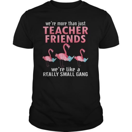 Funny We’re More Than Just Teacher Friends-Flamingo T shirt