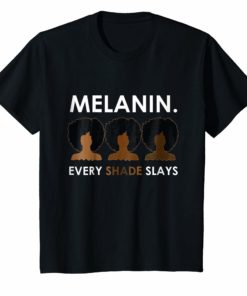 Melanin Every Shade Slays Natural Hair Afro T-Shirt