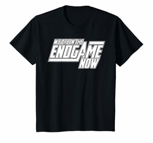 We Are In The Endgame Now Superhero Themed Shirt