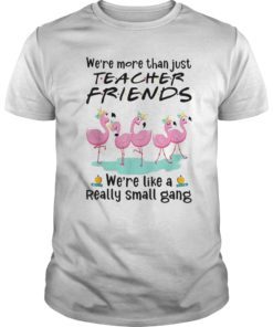 We’re More THan Just Teacher Friends Flamingo Tee Shirt