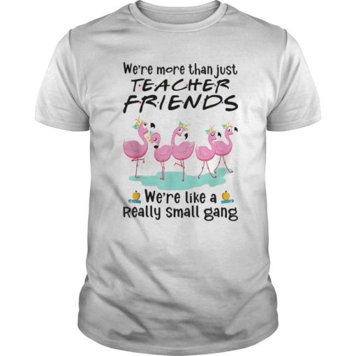 We’re More THan Just Teacher Friends Flamingo Tee Shirt