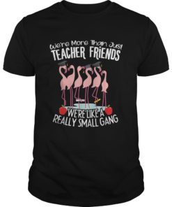 We’re More Than Just Teacher Friends Flamingo Perfect t-shirts