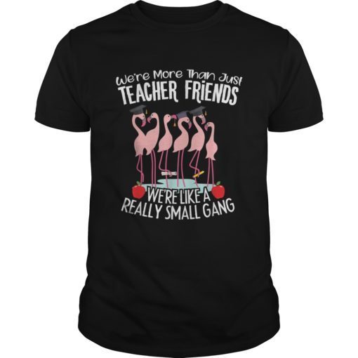 We’re More Than Just Teacher Friends Flamingo Perfect t-shirts