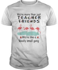 We’re More Than Just Teacher Friends Flamingo T Shirt