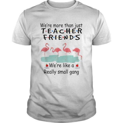 We’re More Than Just Teacher Friends Flamingo T Shirt