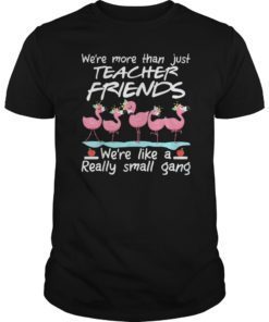 We’re More Than Just Teacher Friends Flamingo T-Shirts