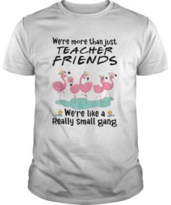 We’re More Than Just Teacher Friends Flamingo Tee Shirts