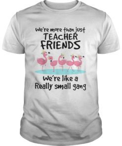 We’re More Than Just Teacher Friends Shirts Teacher TShirts