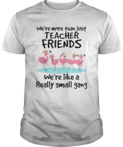 We’re More Than Just Teacher Friends Shirts Teacher Tshirt