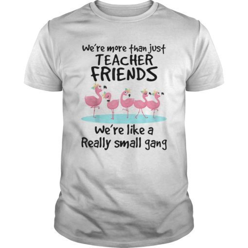 We’re More Than Just Teacher Friends Shirts Teacher Tshirt