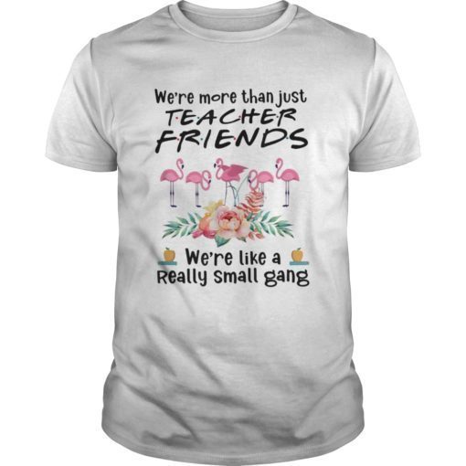 We’re more than just teacher friends flamingo lovers T-Shirts