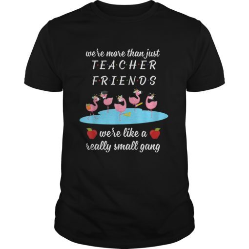 Womens We’re More Than Just Teacher Friends Flamingo Perfect Tee Shirt
