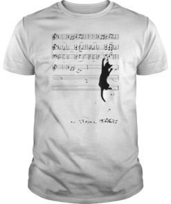 Black Cat On Musical Notes Symphony For Cat Lovers T-Shirt