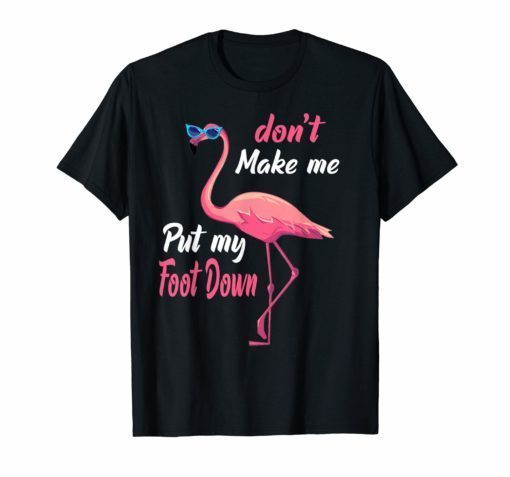 Don't Make Me Put My Foot Down Pink Flamingo Gifts T-shirt