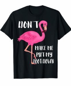 Don't Make Me Put My Foot Down T-shirt Pink Flamingo Gift