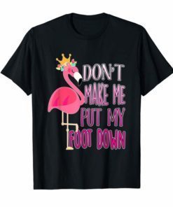 Don't make me put my foot down shirt Cute Flamingo lover tee