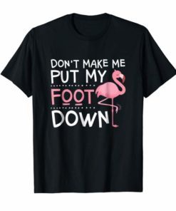 Flamingo Don't Make Me Put My Foot Down Tshirt