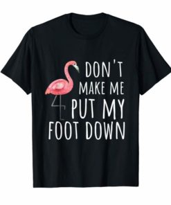 Flamingo T-Shirt Don't Make Me Put My Foot Down
