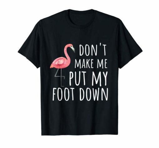 Flamingo T-Shirt Don't Make Me Put My Foot Down