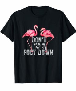 Funny Flamingo Don't Make Me Put My Foot Down Tshirt