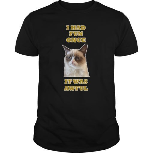 Grumpy Cat Had Fun Once Was Awful Big Face Gift T-Shirt