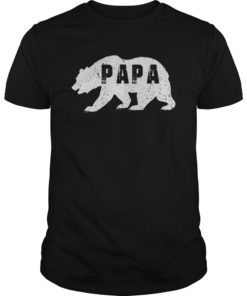 Mens Papa Bear Gift T-Shirt Father's Day Dad Gift Best Dad New Daddy