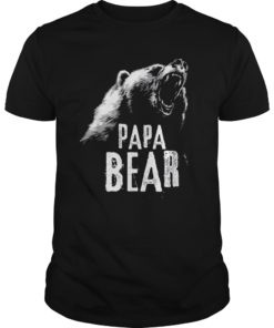 Papa Bear Best Dad TShirt Fathers Day Father Pop Gift