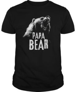 Papa Bear Best Dad TShirt Fathers Day Father Pop Gift