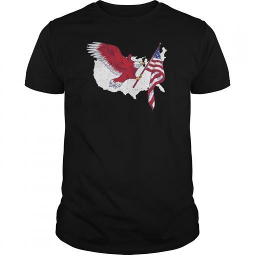 Bald Eagle Mullet 4th of July Gifts American Flag Merica USA T-Shirt