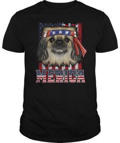 Brittany Spaniel American Flag Shirt USA Patriotic Dog Gift T-Shirt