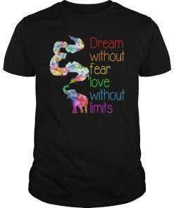 Dream Without Fear Love Without Limits Elephant LGBT Pride T-Shirt