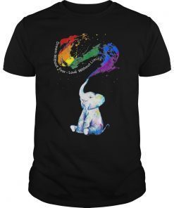 Dream Without Fear Love Without Limits Elephant LGBT T-Shirt