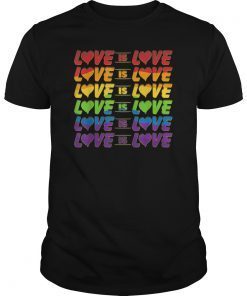 LGBT Pride Love Is Love Shirt Gay Pride Awareness Men Women T-Shirt