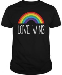 Love Wins T-Shirt, Love Wins Shirt, Pride T Shirt, Pride, Gay Pride Shirt