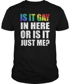 Mens Is It Gay In Here Or Is It Just Me LGBT Funny Gift Tshirt