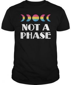 Pansexual My Sexuality Is Not A Phase Pride T-Shirt