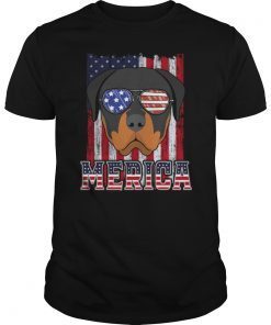 Pitbull Dad 4th of July American Flag Shirt Gifts