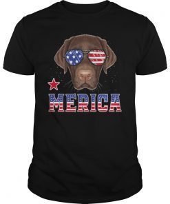 Pitbull Dad 4th of July American Flag T-Shirt Gifts