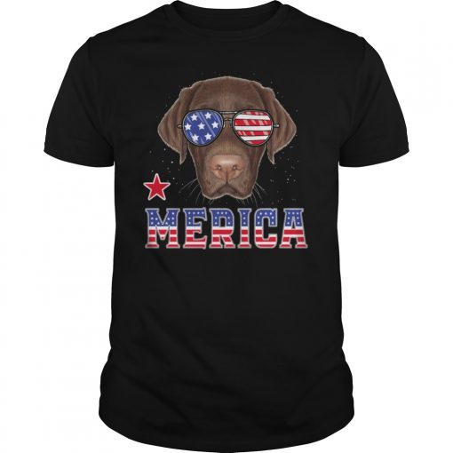 Pitbull Dad 4th of July American Flag T-Shirt Gifts