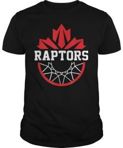 Toronto Raptors NBA Finals Champions 2019 T-Shirt