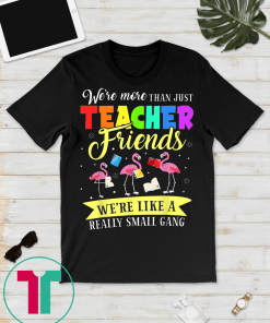 Flamingo More Than Just Teacher Friends Funny Teacher Gift T-Shirt