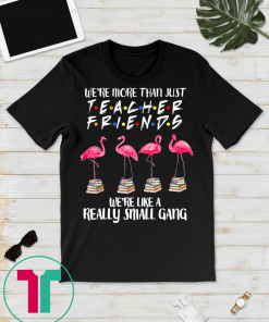 Flamingo We're More Than Just Teacher Friends TShirt Gifts T-Shirt