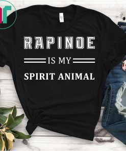 Rapinoe Is My Spirit Animal T-Shirt , Rapinoe Jersey Gift Shirt