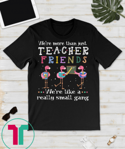 We're more than just teacher friends T-shirtWe're more than just teacher friends T-shirt