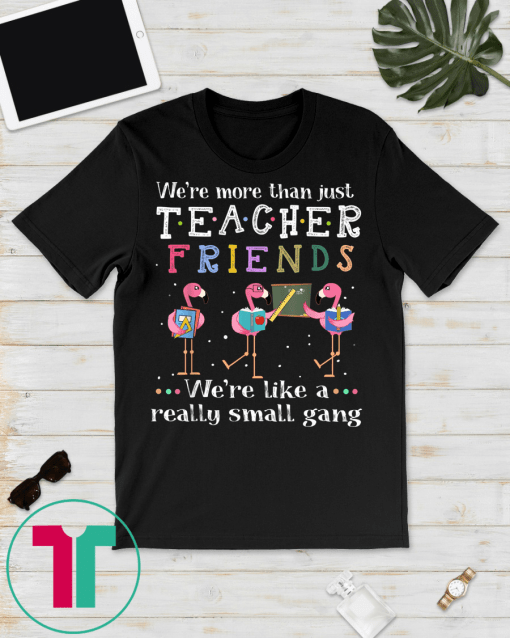 We're more than just teacher friends T-shirtWe're more than just teacher friends T-shirt