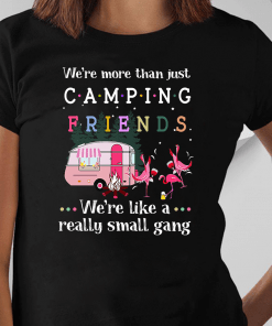 We’re More Than Just Camping Friends Flamingo We’re Like A Really Small Gang T-Shirt