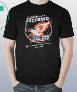 Giant Asteroid 2020 Unisex Funny Gift T-Shirt