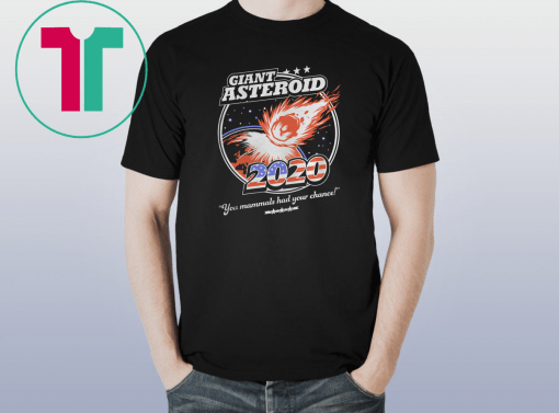 Giant Asteroid 2020 Unisex Funny Gift T-Shirt